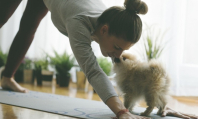Власти европейской страны запретили проводить тренировки по йоге со щенками