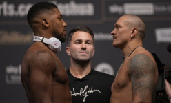 Энтони Джошуа и Александр Усик прибыли в Украину