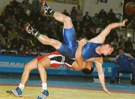 Медали и славу добыли в борьбе