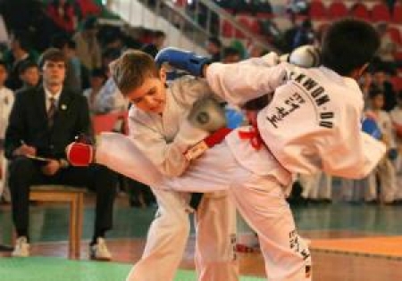 Главная цель федерации - не победы на чемпионатах мира, а здоровье детей