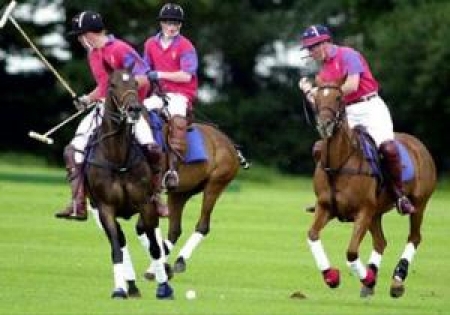 В европейских страннах конное поло весьма популярный вид спорта