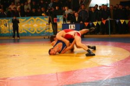 Очередной турнир по борьбе прошел в Алматы