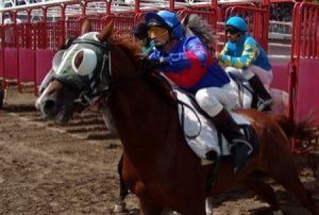 Скачки в Казахстане развиты издавна