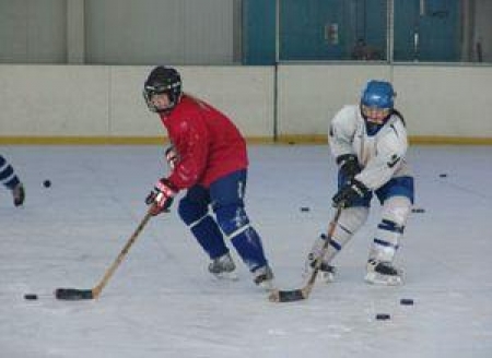 У женского хоккея есть перспективы