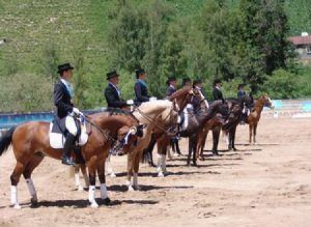 Конный спорт в Казахстане на высоте