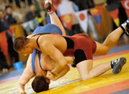 Борцы поедут к Ярыгину