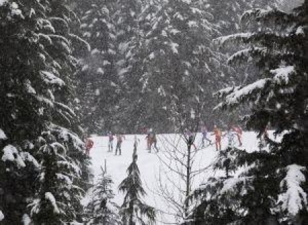 Лыжники только одинадцатые