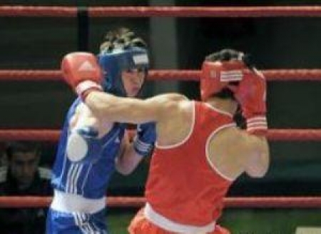 Боксеры идут на новые вершины