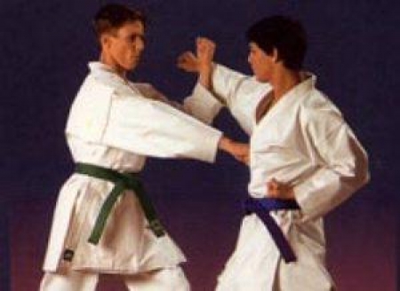 Каратисты празднуют юбилей