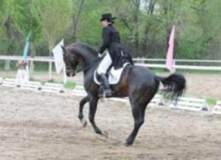 Казахстанцы могут побеждать в конном спорте