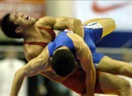 Борцы выступили удачно