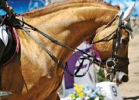 Этап Кубка Мира прошел в Алматы