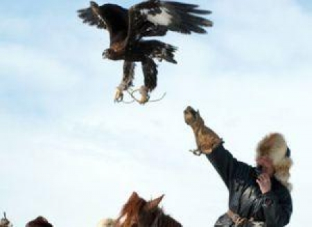 Турнир беркутчи прошел в Алматы