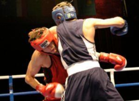 Чемпионы, вместо которых предпочли других боксеров, доказали свою состоятельность