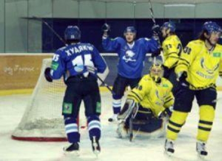 Золотые медали разыграют «кошачьи команды»