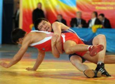 Вольники завершили программу