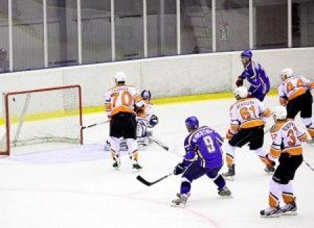 Шайба в сетке