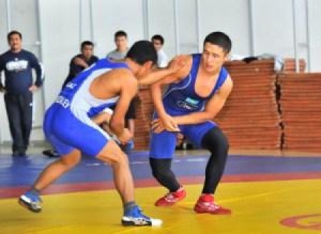 Алмат на трени