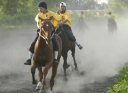 Для развития национальных видов спорта необходимо принять специальный закон