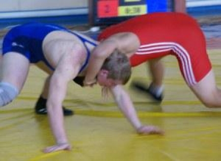 Соревновались борцы ВКО