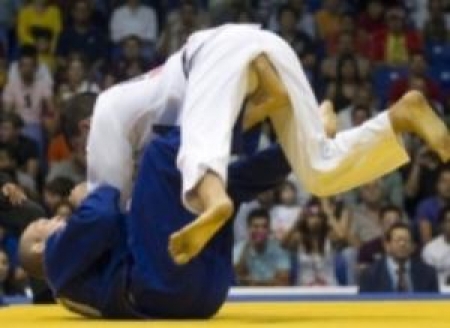 Борцы дзюдо