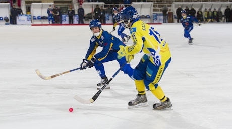 Фоторепортаж с матча ЧМ по бенди в Алматы Казахстан — Швеция 1:9