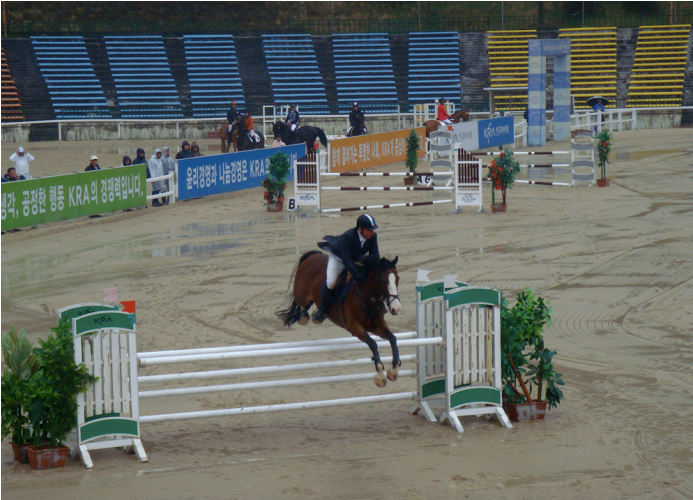 Бронзовая медаль в Сеуле