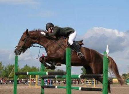 В конном спорте представителей Казахстана не будет