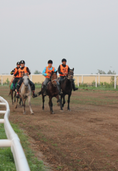 Результаты дистанционных пробегов по конному спорту
