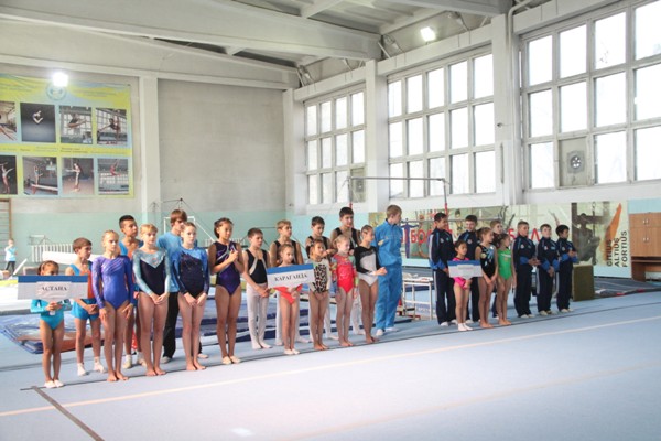 Спортивная гимнастика: возрождение традиций