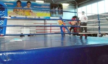 В Петропавловске проходит Кубок РК по кикбоксингу, посвященный Дню первого Президента РК