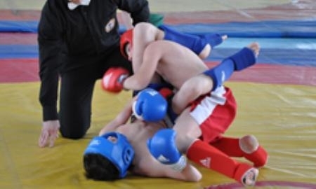 Кубок Казахстана по смешанным единоборствам Номад ММА прошёл в Таразе