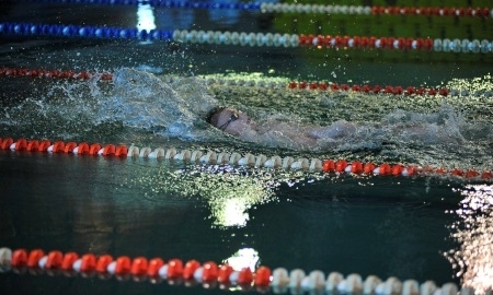 «Новогодние заплывы»