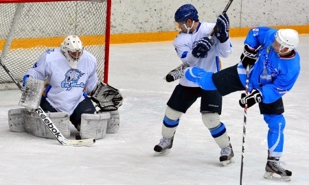 Листки хоккейного календаря. 28 января — 3 февраля. Неделя № 22. Гости атакуют