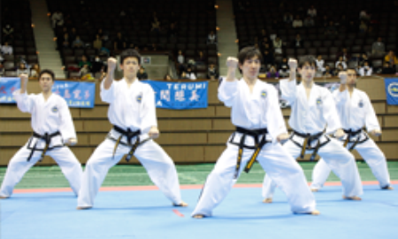 Казахстанские мастера taekwondo могут отправиться на спортивные сборы в Токио