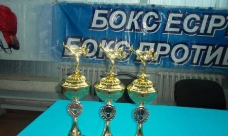 В Петропавловске прошел республиканский турнир по кикбоксингу