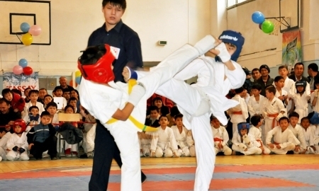 В Таразе завершилось первенство по киокушинкай-кан каратэ-до