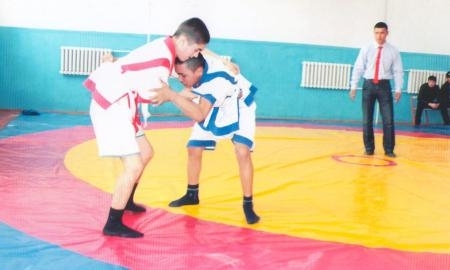 Мактааральский район ЮКО готов к третьему этапу «Қазақстан Барысы»