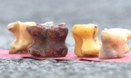 В Астане прошел турнир по национальной игре «асык ату»