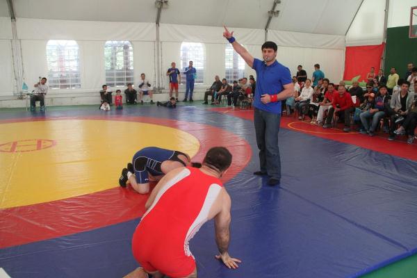 SAVE OLYMPIC WRESTLING!