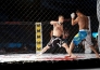 Фоторепортаж с турнира ММА «Алем Алыбы»