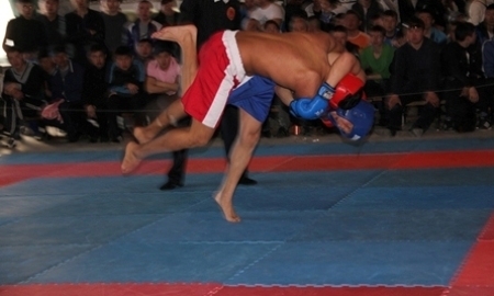 В Казахстане смешанные единоборства ждет большое будущее