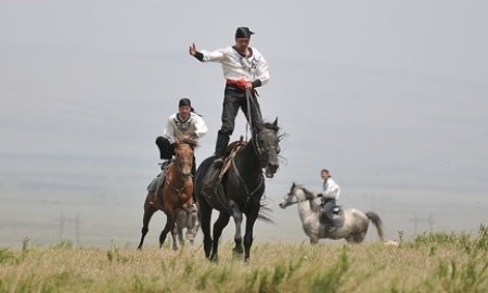 В Жамбыльской области прошли соревнования по конным видам спорта