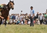 В Жамбыльской области прошли соревнования по конным видам спорта