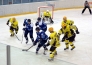 Фоторепортаж с матча ВХЛ «ВМФ-Карелия» — «Сарыарка» 1:3