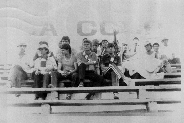 Атомный сектор