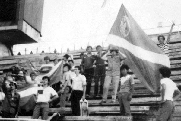 Атомный сектор