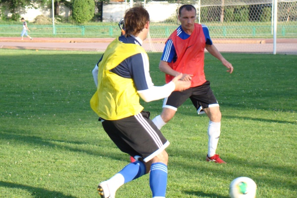 Всем сестрам по серьгам, или Футбольная слонораздача. Часть 1