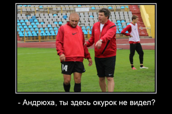 Всем сестрам по серьгам, или Футбольная слонораздача. Часть 1