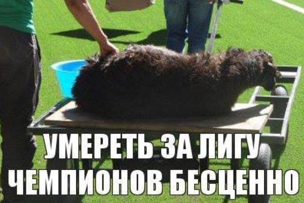 Всем сестрам по серьгам, или Футбольная слонораздача. Часть 3